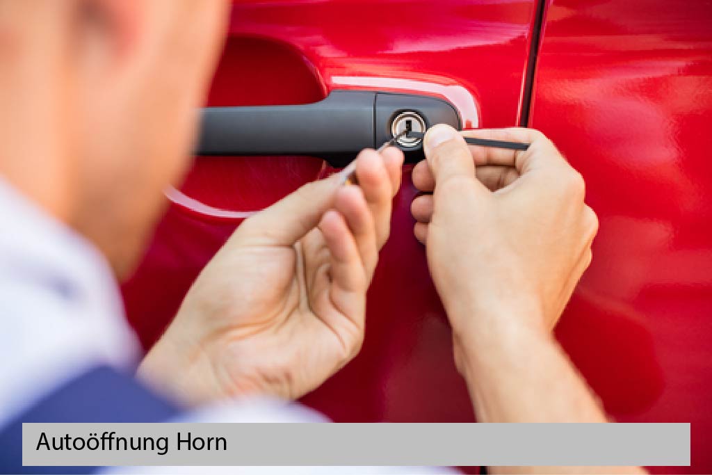 Autoöffnung Horn